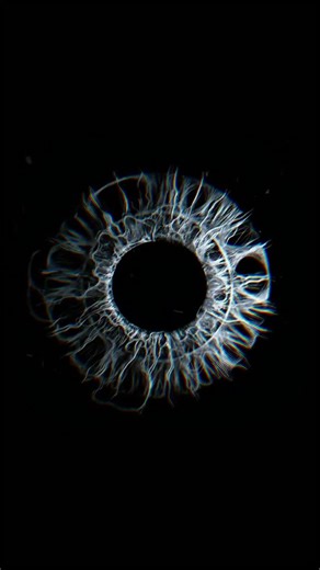 Tracing Mind on Instagram: "Your favorite color can reveal things about you. • • #brainscience #neuroscience #darkpsychology"