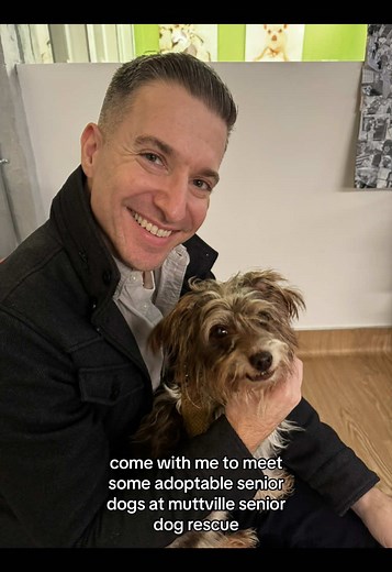 Adoptable Senior Dogs Available at Muttville Rescue