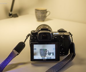 Nikon Z6ii: Manual focus is much easier than before! - frederikboving