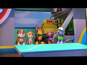 Paw patrol marshall mishaps S6 E6 (pups save the baby ostrichs)🐶