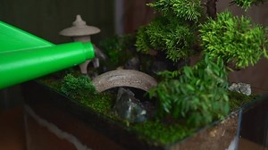 Making a Japanese garden | DIY & Crafts