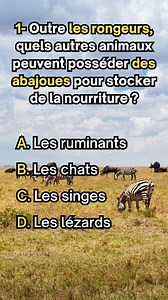 Connaissez-vous bien les animaux ? Ce quiz sur les animaux vous permettra de mettre à l'épreuve vos connaissances sur la thématique des animaux.À chaque question, trouvez la bonne réponse parmi les possibilités proposé.#animaux #quiz #ApprendreSur face book#culturegenerale | Stéphanie Bruno