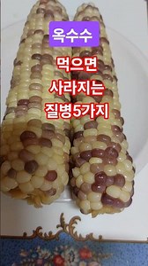 💐옥수수 먹으면 사라지는 질병 5가지💜Shorts