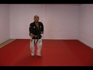 CASA DE KENPO - AMERICAN KENPO - LONG FORM 1