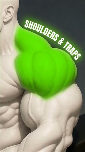 Big shoulders and traps with dumbbells