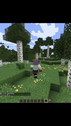 crazy commands for Minecraft 💀 pt.8 #minecraft