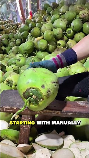 The Most Satisfying Way to Cut Coconuts