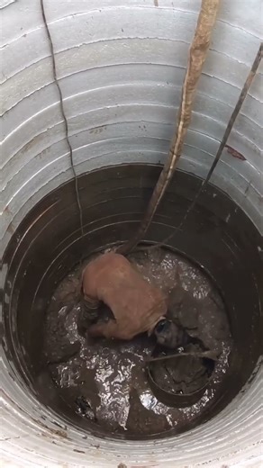 How is water drawn from a well #shortvideo