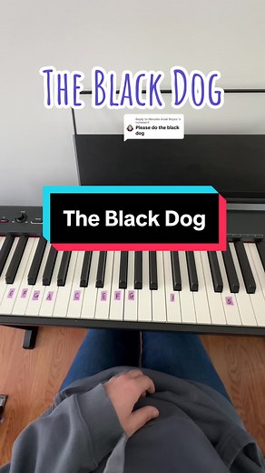 Taylor Swift 'The Black Dog' Easy Piano Tutorial