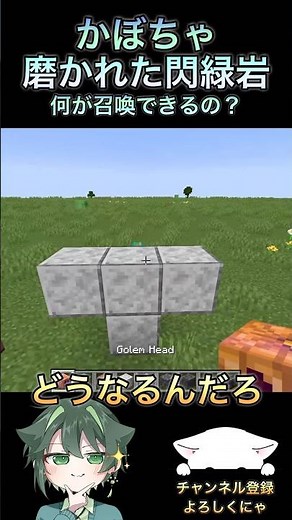 磨かれた閃緑岩とかぼちゃで何ができるの？【mod】 #マイクラ #マインクラフト #shorts