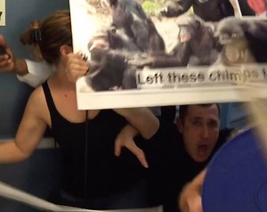 NY Blood Center Employees Assault Chimp Advocates. Oddly, #MetLife, the blood center's largest corporate donor and a company that heavily promotes its "corporate social responsiblity," continues to turn a blind eye to the chimp abandonment crisis, in spite of pleas from thousands of people around the world. | Their Turn