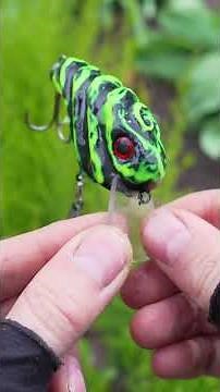 My 30 Day Custom Lure Challenge 🤯