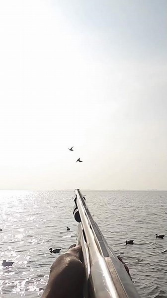 Watch his choke pattern shooting the cripple ! #duckhunting #waterfowl #hunting #duck