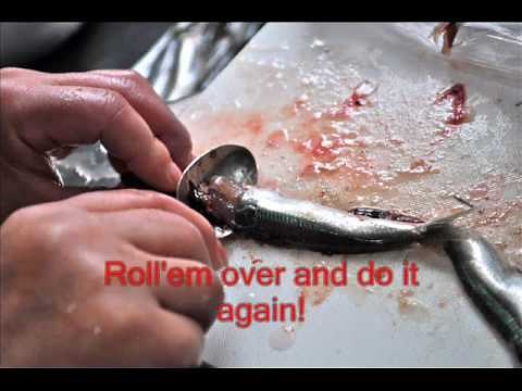 How to prepare fresh anchovies!