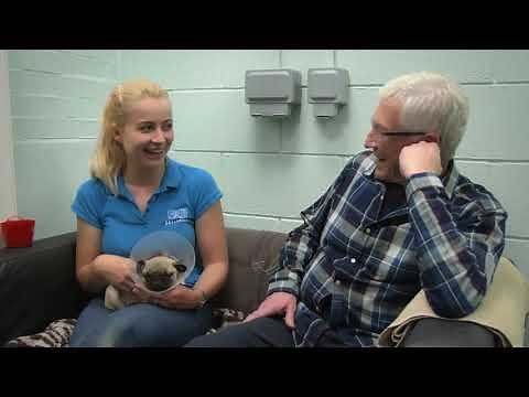Paul O'Grady: For the Love of Dogs | Episode 4 | Clip