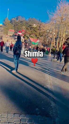 Shimla 🥰💖 @paharisum-eq8