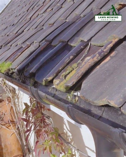 Gutter Cleaning service in auckland|lawnmovingauckland.co.nz