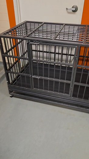 15K views · 599 reactions | We cannot thank our community enough for...