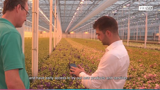 The Priva Connected package connects your greenhouse to the Priva Open Platform. It unlocks three applications that give you the ability to manage your business remotely, and to view, analyze, plan, and automate your greenhouse processes, anywhere at any time. Be in control of your business 24/7, use the latest innovations and ensure business continuity. Visit www.priva.com/connected and find out how you can unlock the latest innovations. #remotely #innovations #getconnectedgrowyourbusiness | Pr