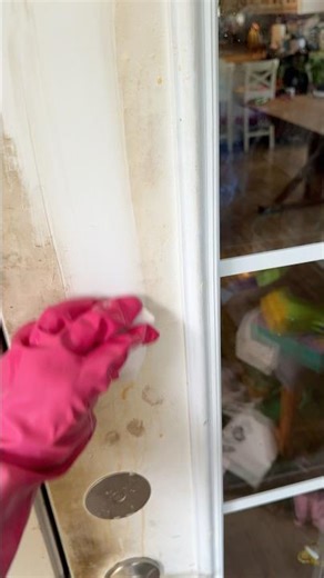 🤩✨ Zep degreaser/melamine sponge #cleaning #cleaningmotivation #deepclean #housecleaner #satisfying