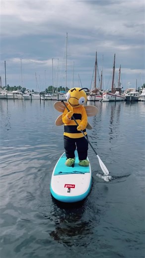 SUP? More like SINK…🐝😒 #watersports #sup #summer #sea #paddleboarding #ocean #nature #water #suplife #staysafe #stuart #fyp #viral #biensparebank
