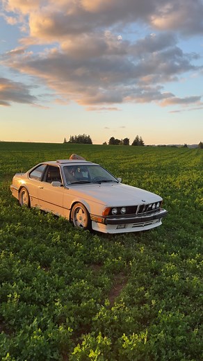 Pov you won #bmw #6series #L6 #car #635csi #e24 #80s #oregon #pnw #classic #euro #portland #white #bmwcca #vibe #green #field #scenery #grass #flower
