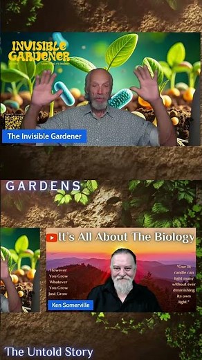 applying compost and mulch correctly