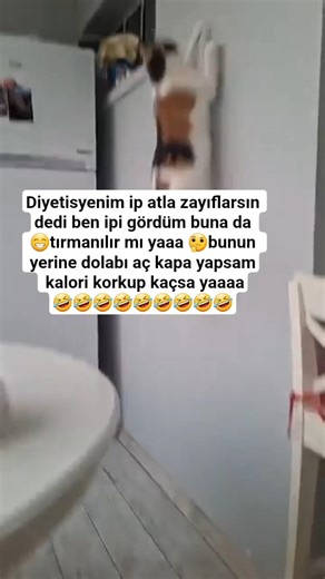 🤣İPE ATLIYORUM#komedi #güldürgüldürshow #yt #ytshorts #keşfetedüş