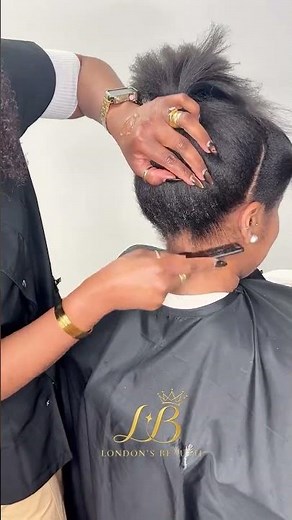 Beautiful Two Strand Twist Hair Preparation