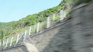 Vineyards at Mosel Valley