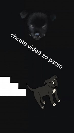 môj pes (@karate_pes)’s videos with ily (i love you baby) - Surf Mesa