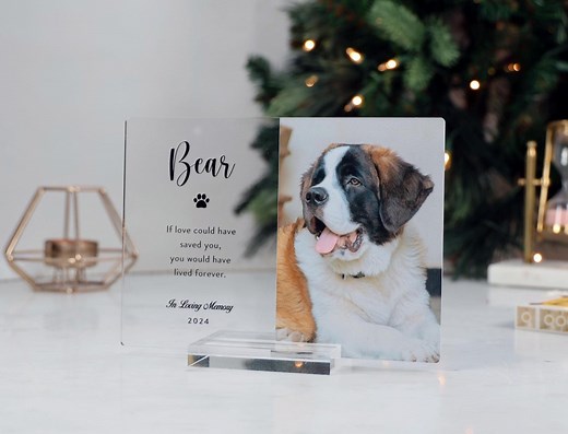 Pet Memorial Plaque | Memorial Photo Sign | Personalized Gifts for Pet Loss | Sympathy Gift for Cat, Dog and Any Other Animals - Etsy