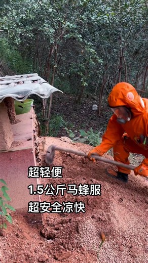 🍃 Hornets buzzing, building, and creating! 🐝 #NatureLife #HornetFarm #InsectCreation | Our Mother Nature