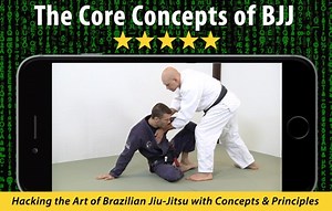 The Core Concepts of BJJ