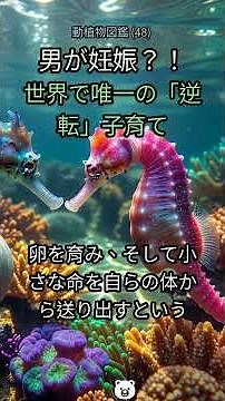 48. 男が出産する謎の生物！🤯 深海に隠された衝撃の真実【タツノオトシゴ】 #タツノオトシゴ #海の生物 #珍しい動物 #繁殖 #オス妊娠 #神秘 #ドキュメンタリー #水中生物