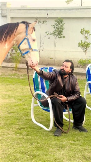 Explore Multi Villas in Mardan with Abdullah Shah