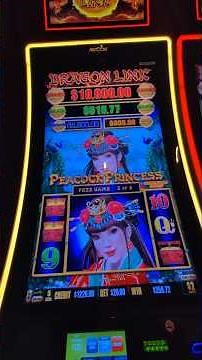 Dragon Link Bonus Feature Jackpot Win Peacock Princess Gambling