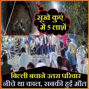 3.2M views · 10K reactions | दुखद: नवरात्र में बड़ी अनहोनी, एक साथ उठी परिवार के पांच लोगों की अर्थी, बेज़ुबान को बचाने चले ख़ुद भगवान को प्यारे हो गए #himachalpradesh #navratri #navratri2024 #catlover | The Point/Himachal | Facebook