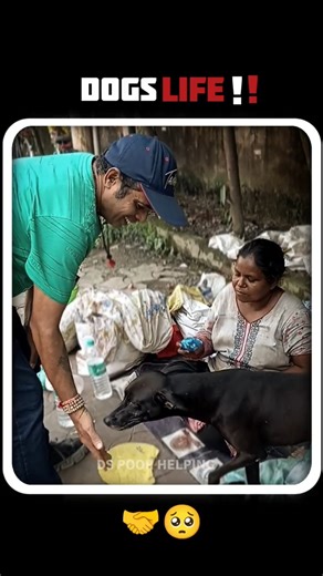 Dogs 🥺🤝life#short#video