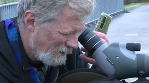Tis' the season to count birds: Eugene's annual Christmas bird count
