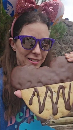 We ate Mickey Mouse at Disneyland