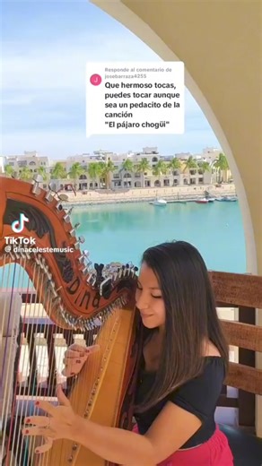 19K views · 820 reactions | Pájaro Choguy ️ . . . . #arpa #harp #harpist #arpista #dinaceleste #paraguay #paraguayosporelmundo #music #musicaendirecto #musicaenvivo #paraguaya #ParaguayDeLaGente #oman #artista | Dina Celeste Music | Facebook