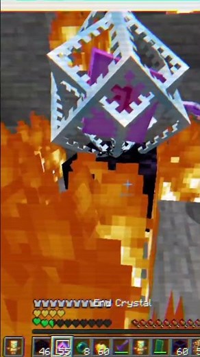Next LT3 Crystal Montage Clips