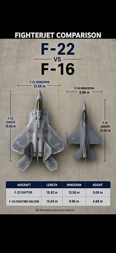 F-22 vs F-16: The Size Difference Will Surprise You! #F22 #F16 #aviation #shorts