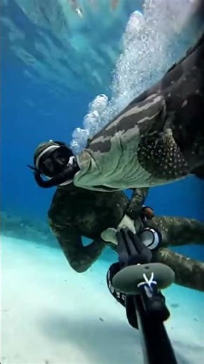 This Calm Water Hid Something Huge