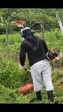 Roçadeira na Estrada #shortvideo #roçadeira