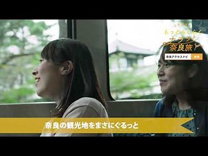 ぐるっとバスでらくらく奈良旅行～ナララ奈良旅～
