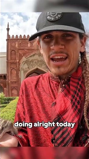 Wild Indian Chipmunks 🇮🇳