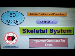 MCQ / Chapter 3 - Skeletal System / 50 Important Questions for Exam / Human anatomy and physiology