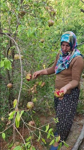 How to make pomegranate